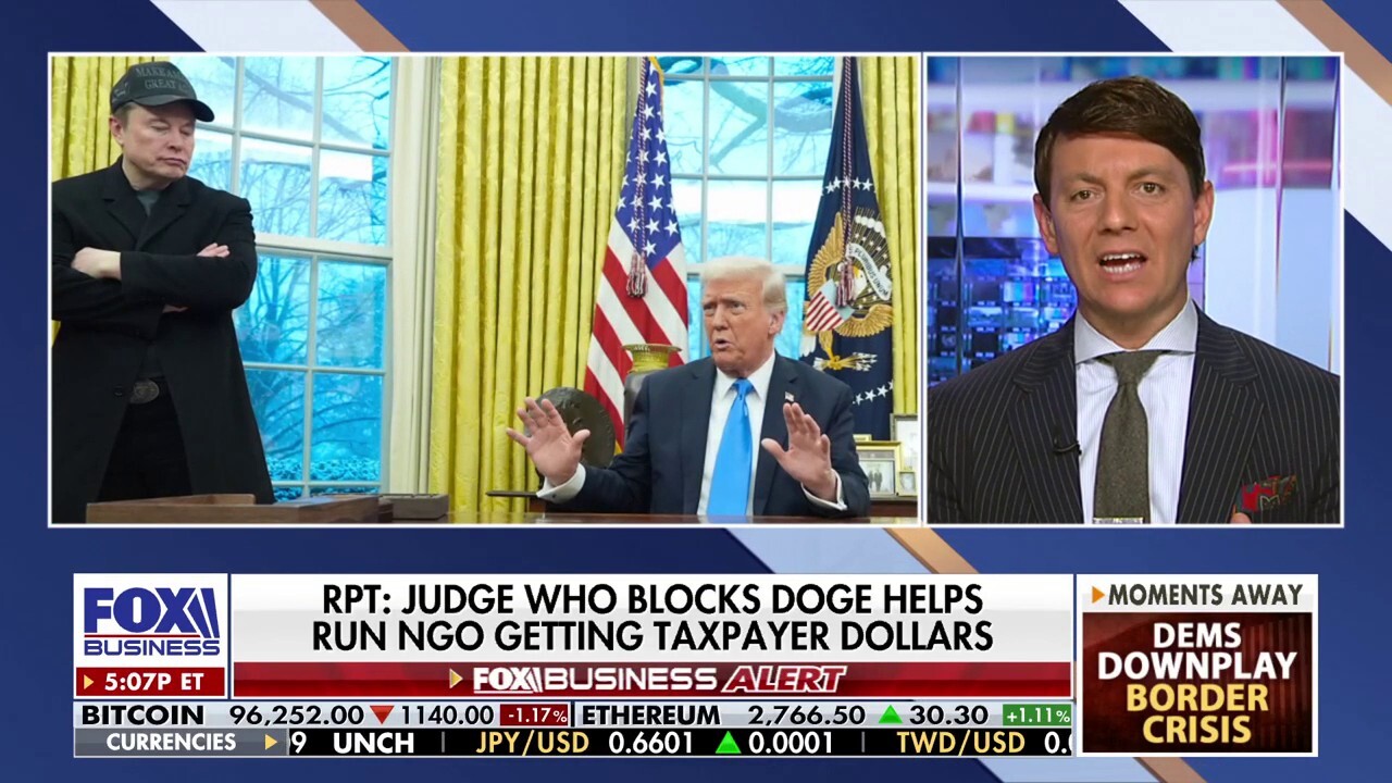DOGE critics 'in favor' of government waste, former Trump deputy press secretary says