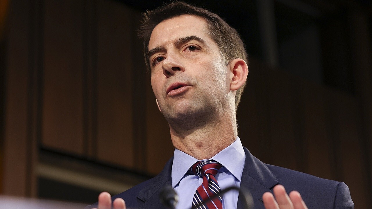 Tom Cotton: Schumer will blow up the infrastructure bill if he doesn't get what he wants