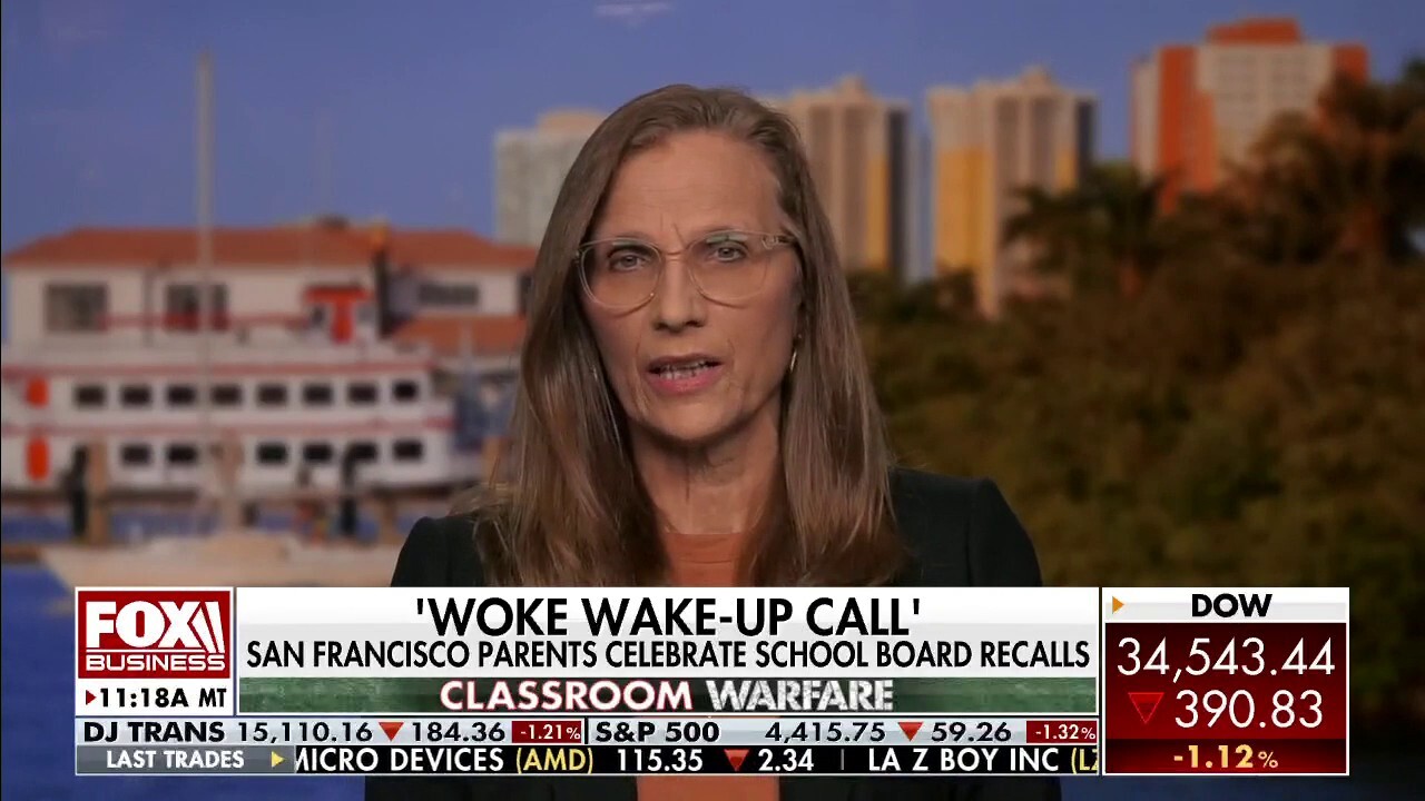 ‘Counterpoint’ to wokeness is the great American parent ‘wakeup’: Romfo