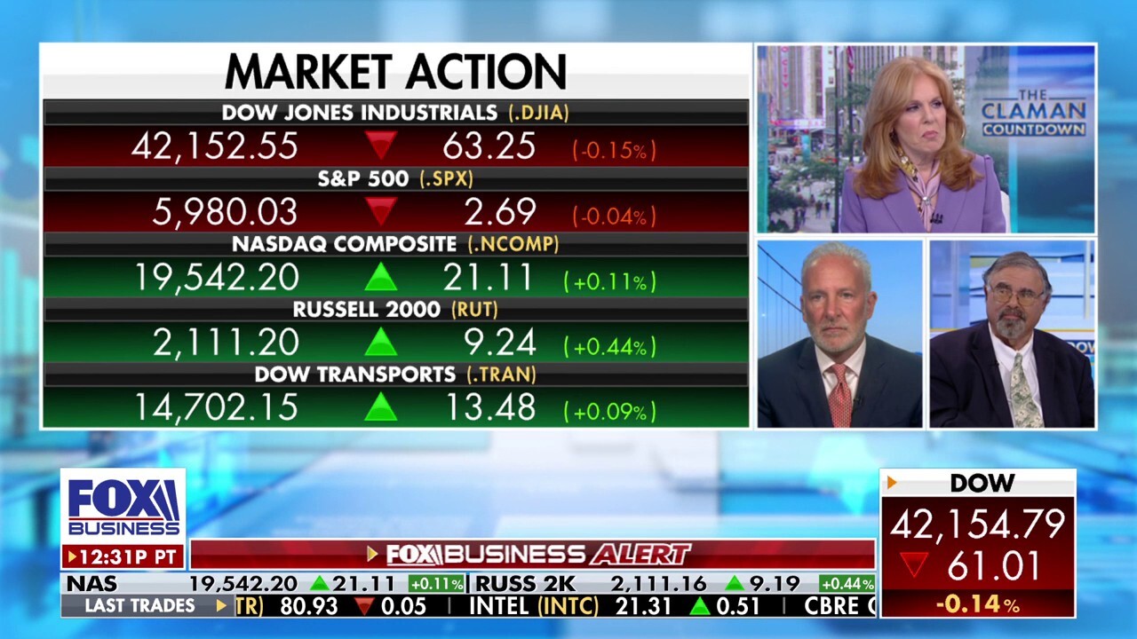 Peter Schiff and Andy Brenner join Liz Claman on 'The Claman Countdown' to discuss the latest state of the U.S. economy.