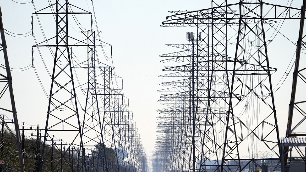 Biden infrastructure must invest in transmission system: PSEG CEO