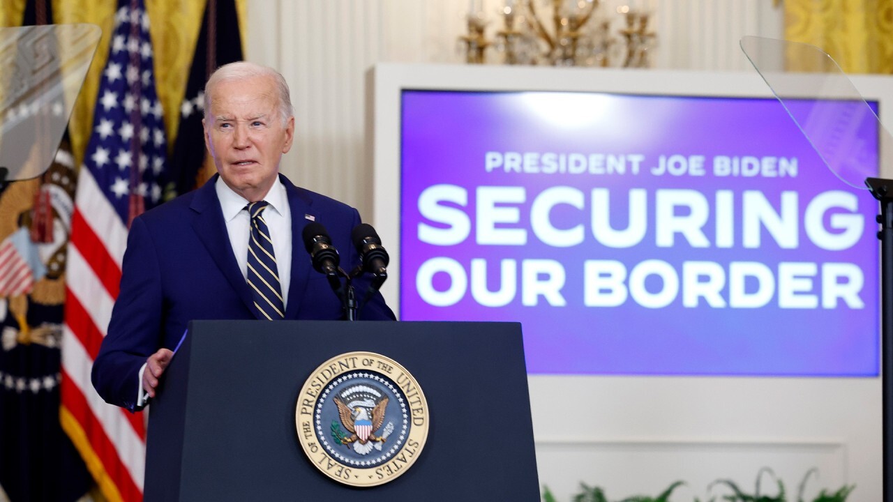 Biden 'blew up' ICE immigration control levels: Ronald Vitiello