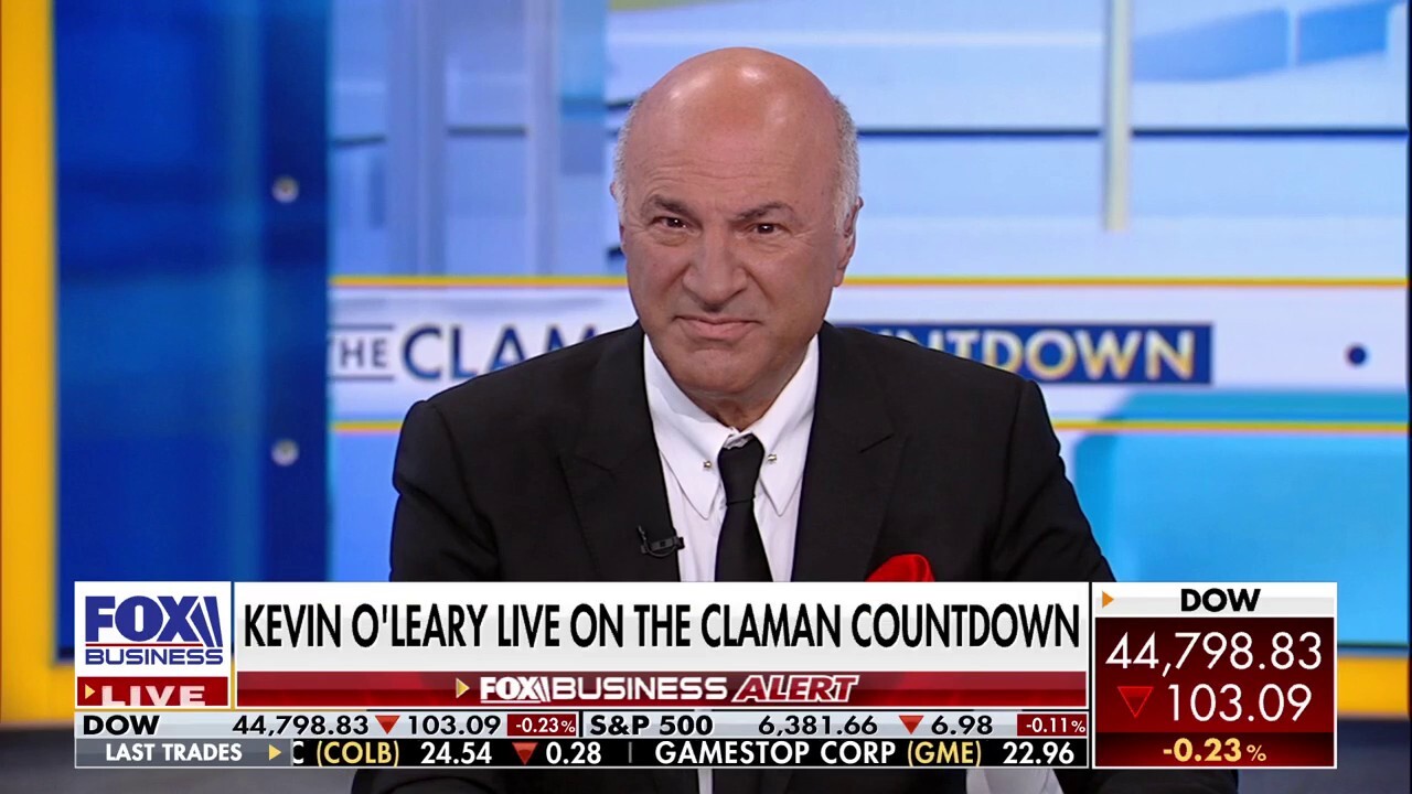 O'Leary Ventures chairman Kevin O'Leary discusses the bid to buy TikTok on 'The Claman Countdown.'