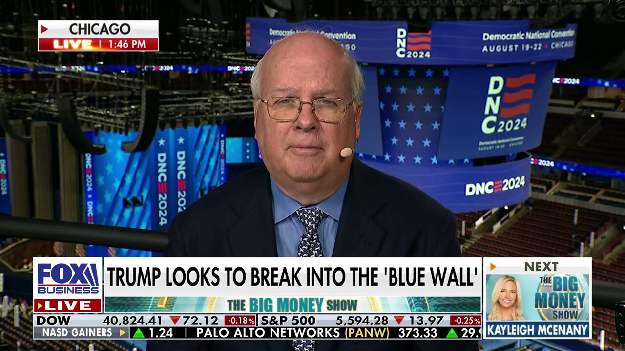 Democrats 'better get their act together' soon: Karl Rove