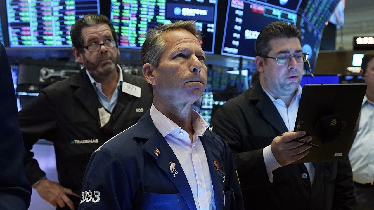 Investors should focus on stocks that perform well regardless of what the Fed does: Trainer