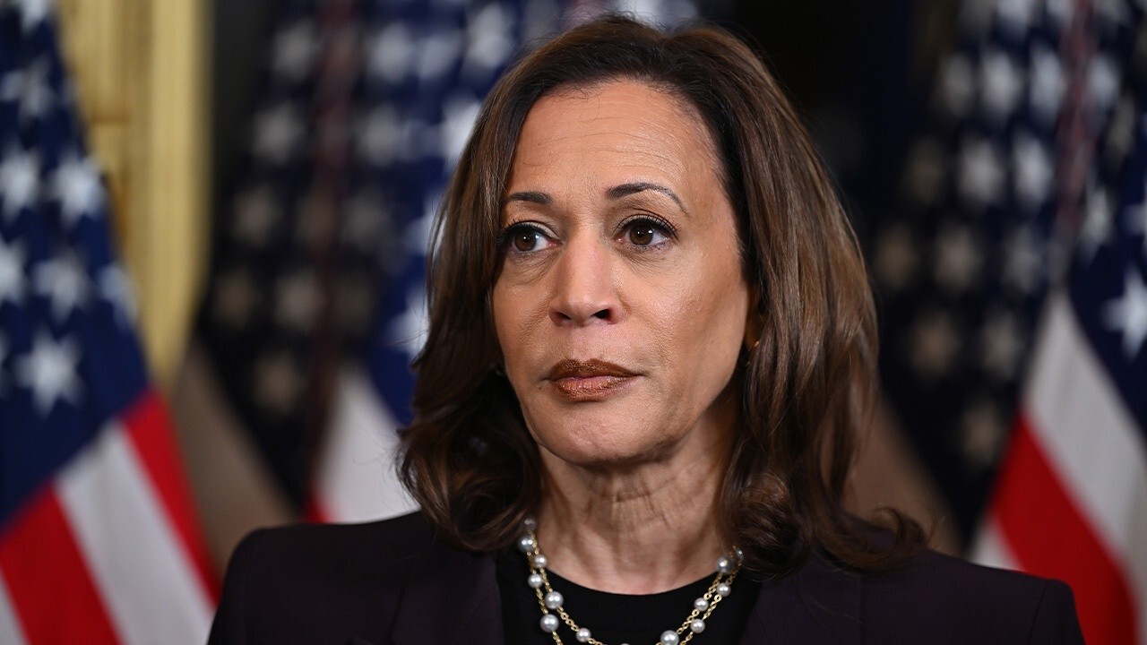 Wall Steet 'bloodbath' might force Kamala to walk back her tax plan: Joe Concha