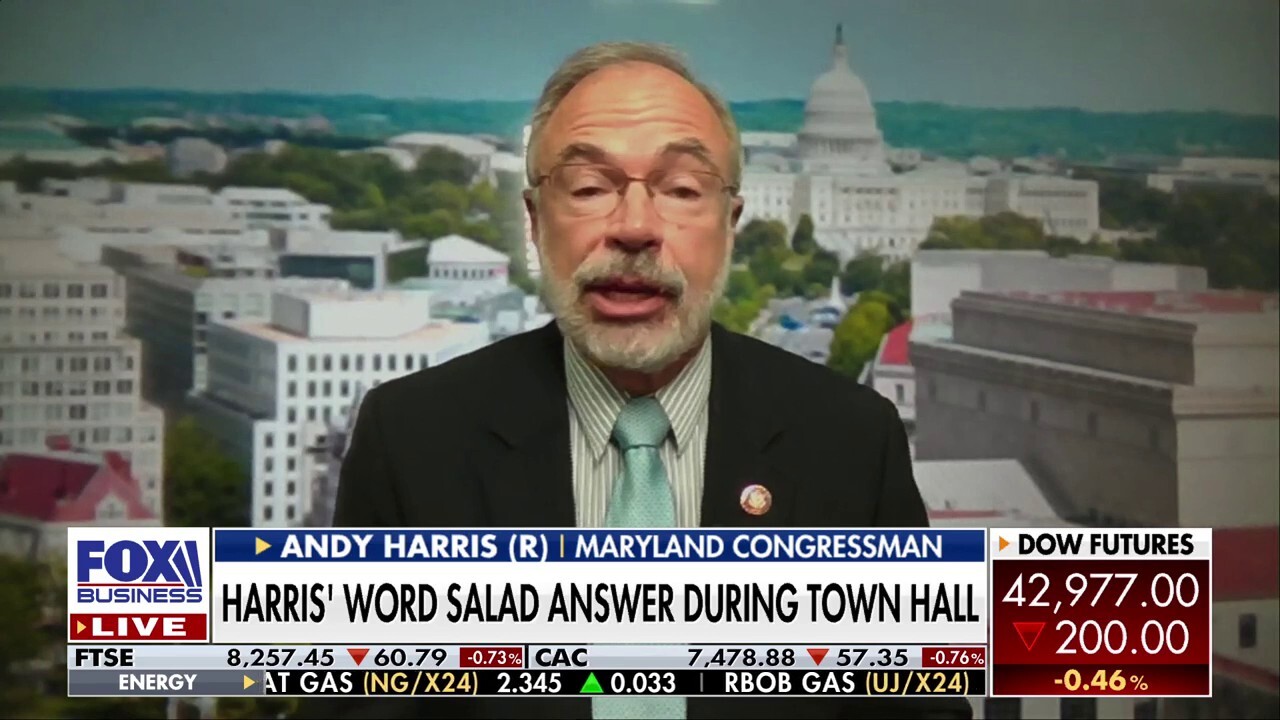 Americans are 'in dire straits' and voting for 'the good ol days': Rep. Andy Harris