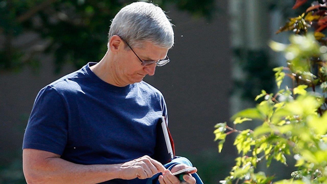 Is Tim Cook getting it wrong on the government's case?