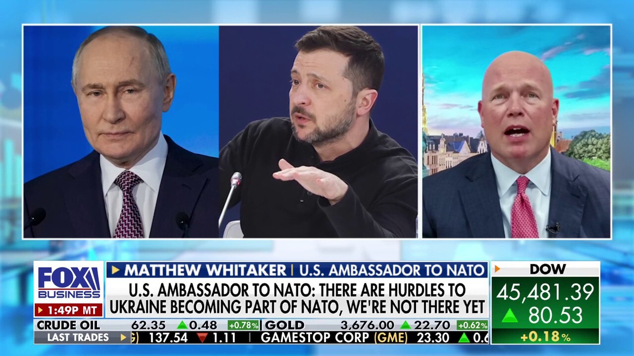 US ambassador to NATO says the 'whole free world' must be part of putting pressure on Russia