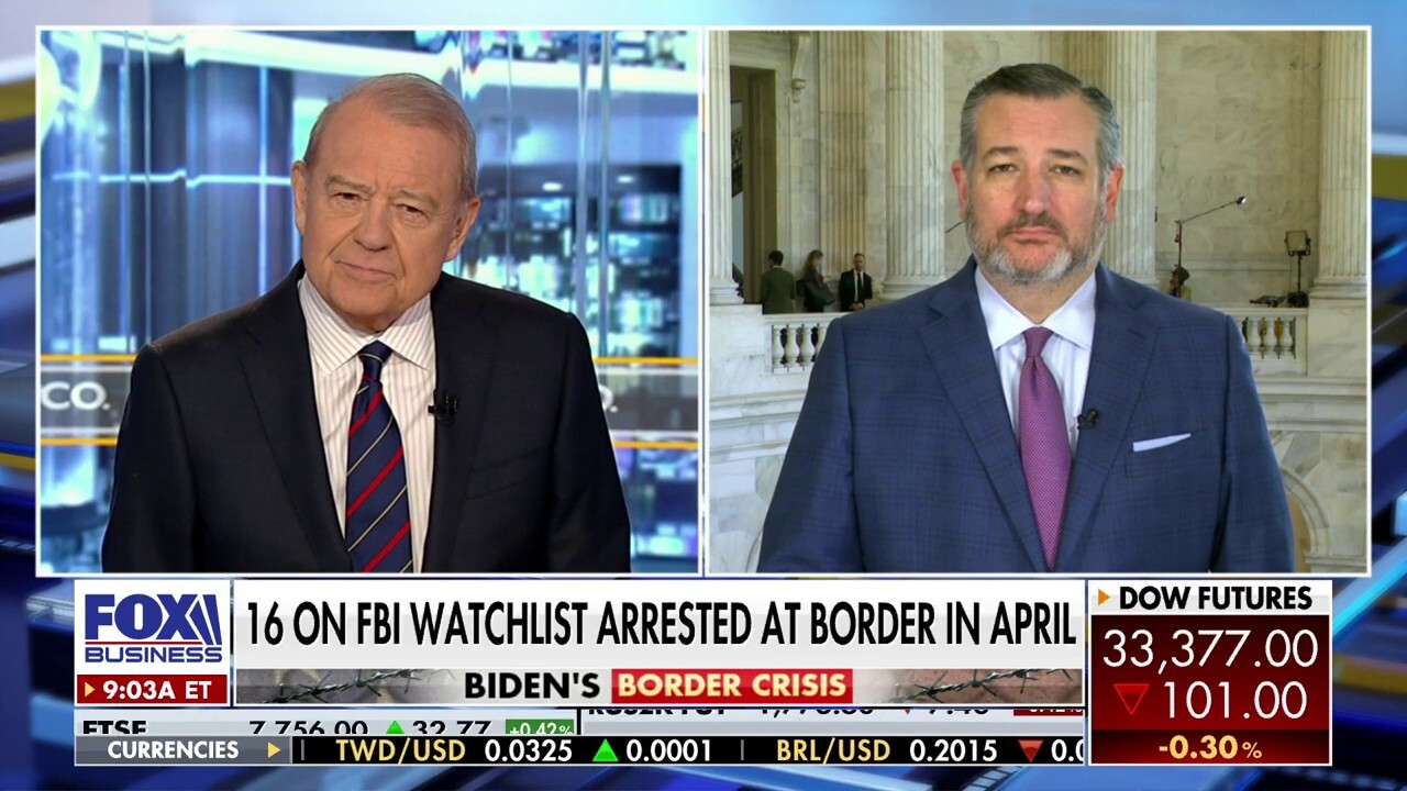 FBI ‘waged war’ on the Trump administration: Sen. Ted Cruz