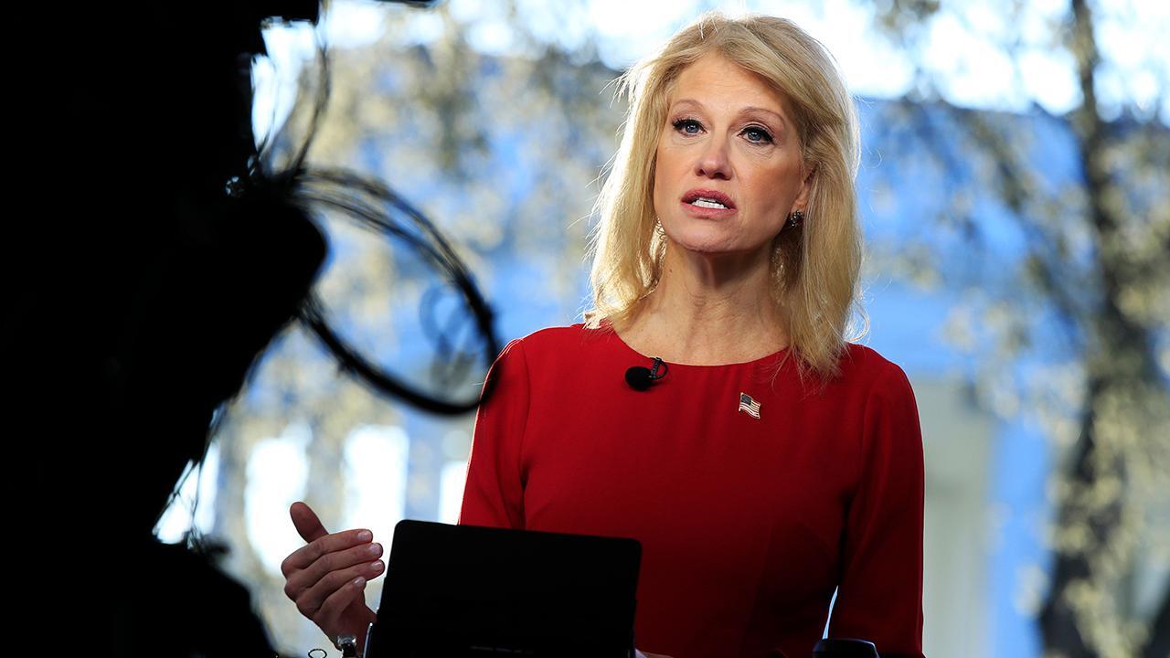 Kellyanne Conway: Congress must close immigration loopholes