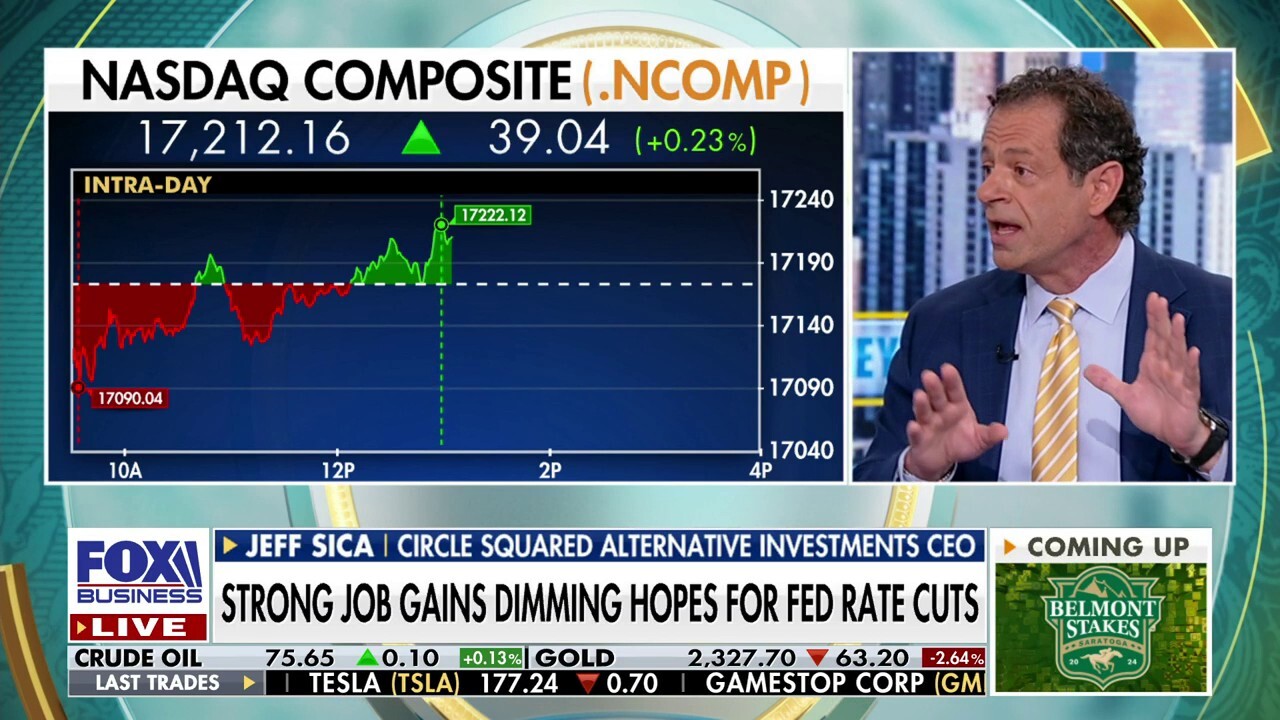 AI is a bubble, beware of consolidation: Jeff Sica 