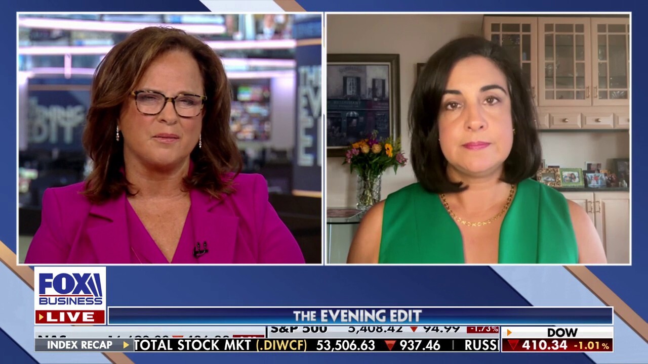 Lawmakers are ‘forcing’ New Yorkers to pay for migrants to ‘wreak havoc’: Rep. Malliotakis