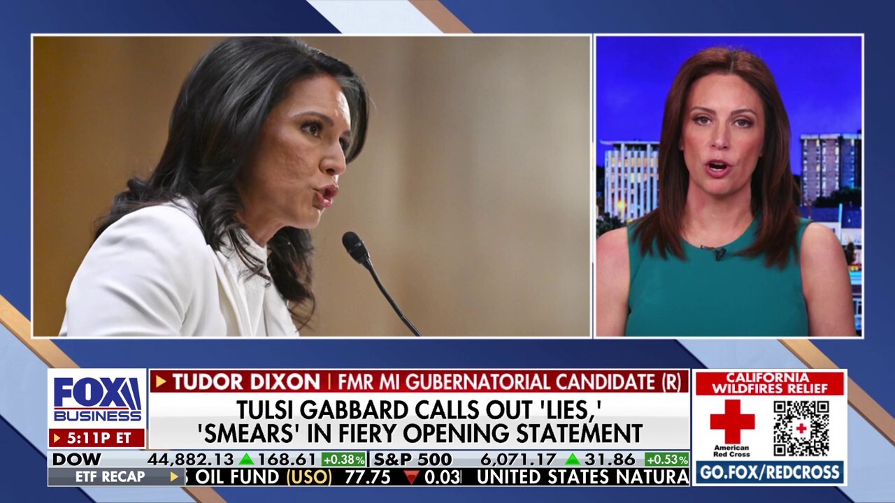 Tudor Dixon: 'Absurd' questions for Tulsi Gabbard have 'nothing to do with intel'