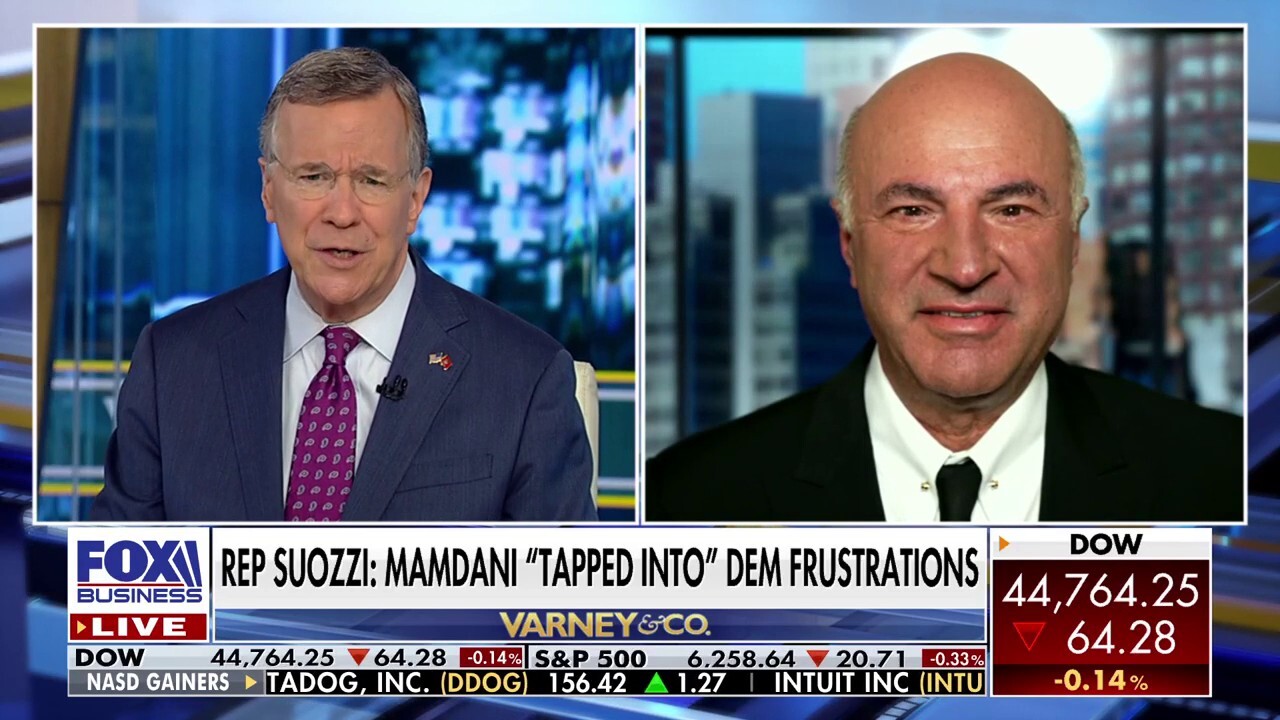 Elon Musk needs to understand that you need to 'give and take' in politics: Kevin O'Leary