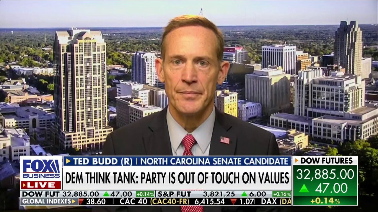 Senate candidate Rep. Ted Budd, R-N.C., unpacks the key issues facing voters in the midterms and shares how Republicans plan to combat Democrats’ policies if they take back Congress.