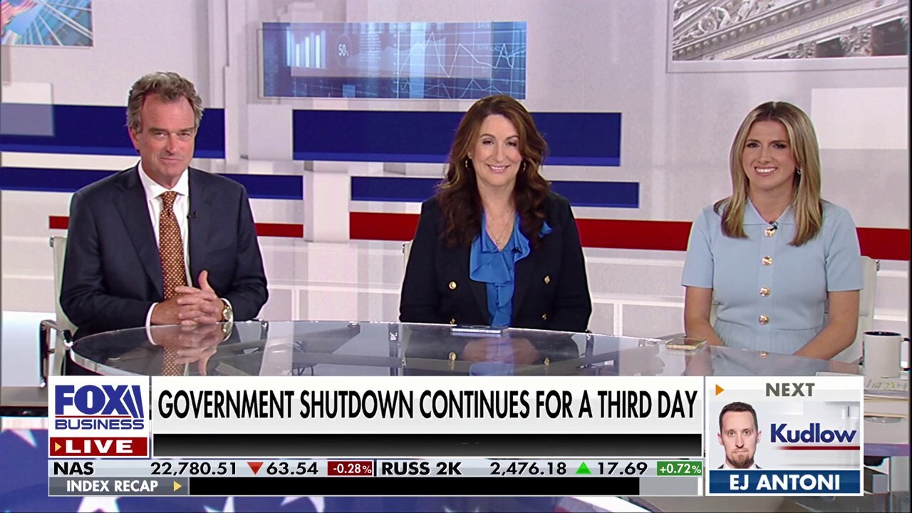 ‘Democrats declaring war’ against government, columnist says