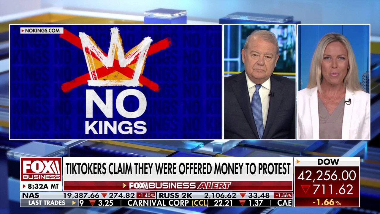 ‘No Kings’ anti-Trump protests are ‘highly orchestrated', former FBI special agent argues
