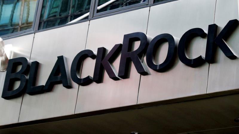 BlackRock posts 2Q earnings beat