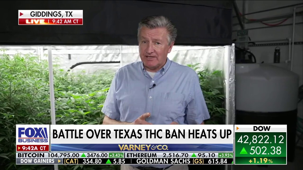 FOX Business' Ashley Webster reports from a hemp producer in Giddings, Texas, where some business owners could feel an economic hit from new state legislation.