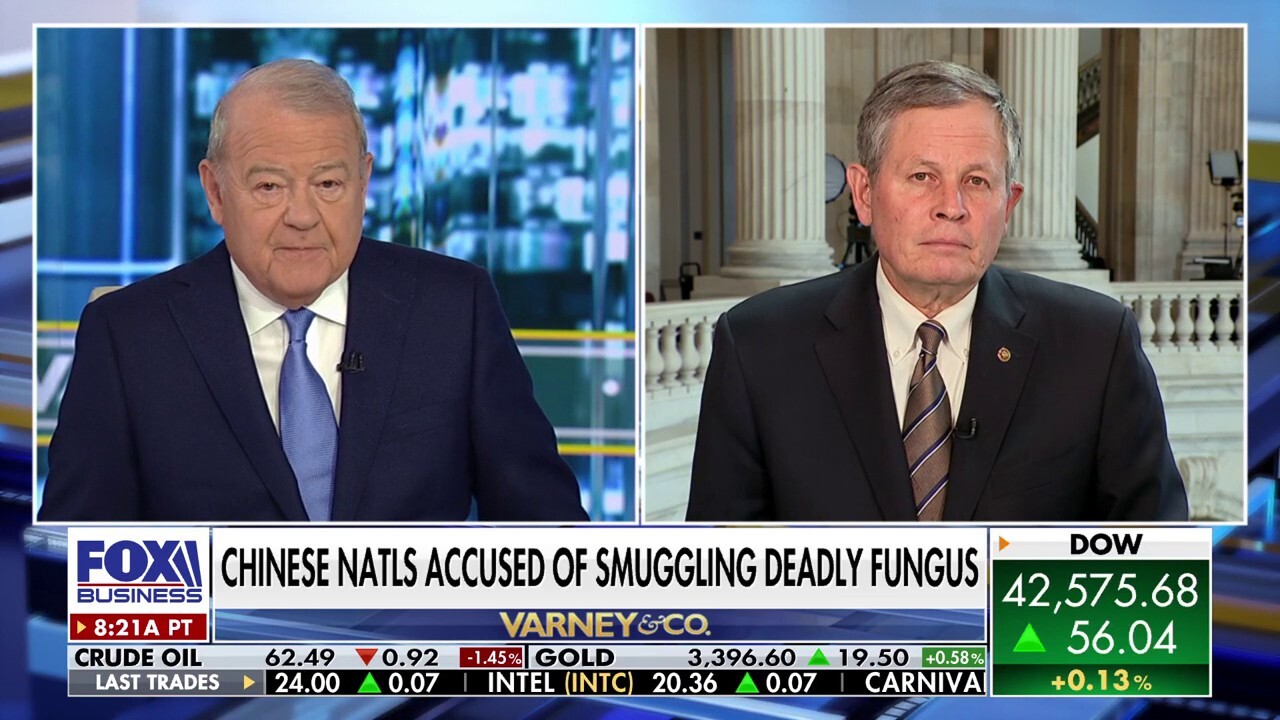 The Russians understand one thing and that's force: GOP senator 