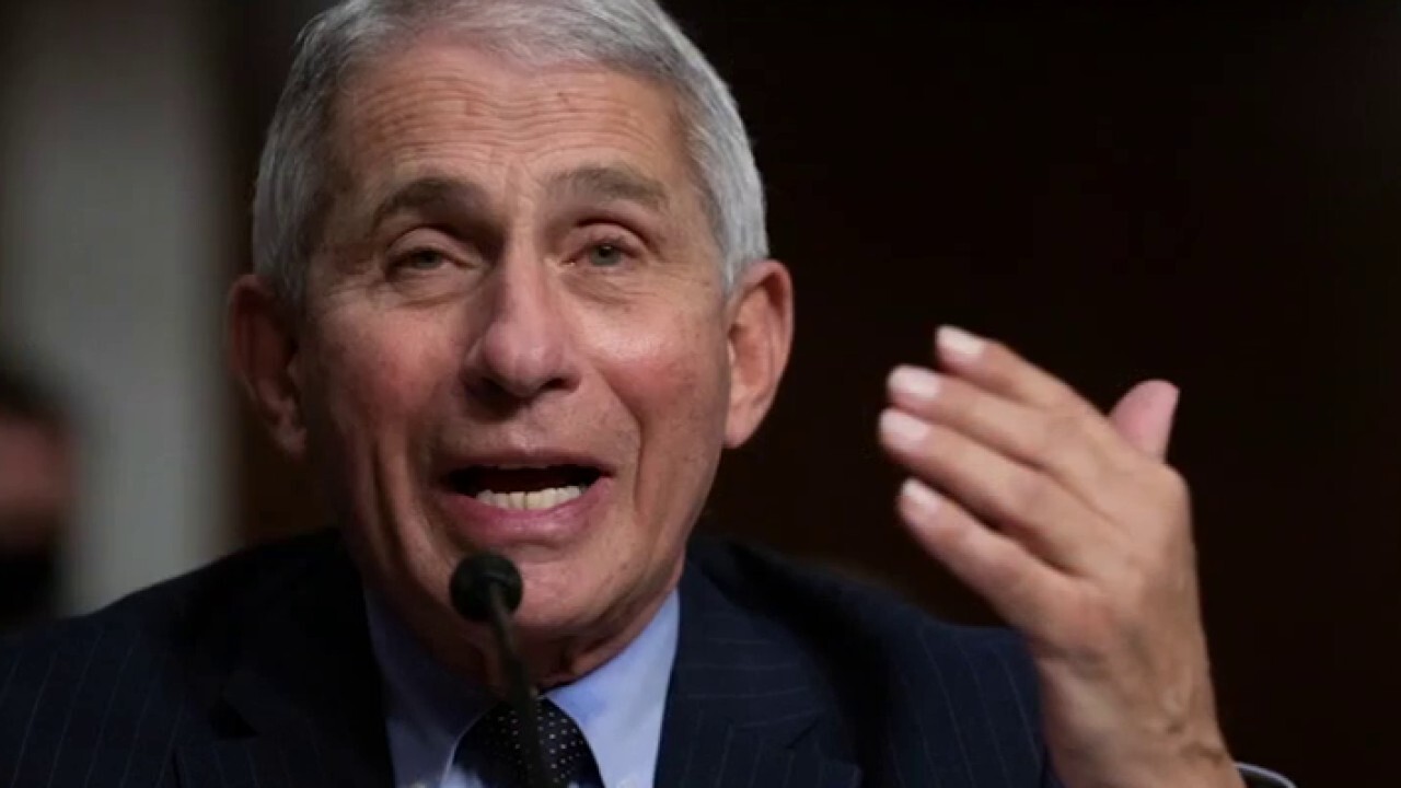 Fauci’s mixed messaging is driving Americans crazy: Concha