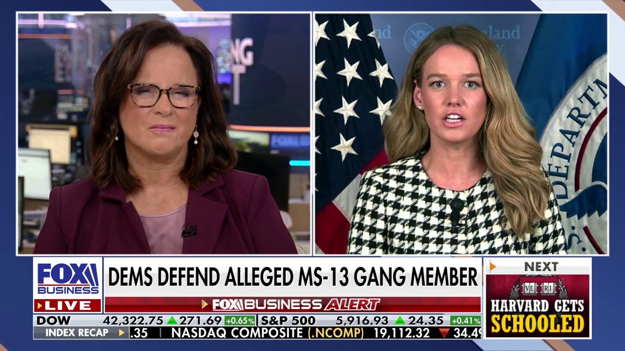 Homeland Security official calls 'activist' judges 'un-American,' aims to increase ICE arrests
