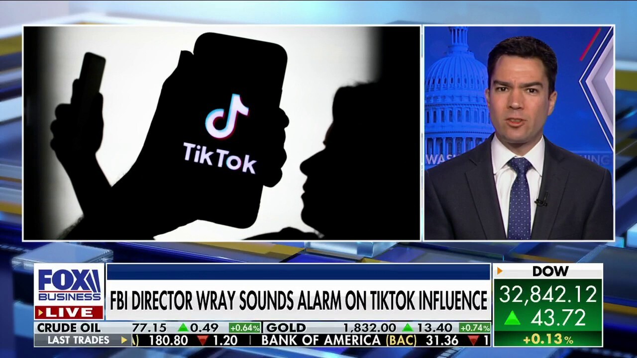 NetChoice VP and general counsel Carl Szabo discusses whether a TikTok ban violates the First Amendment after the FBI's Christopher Wray warned against the social media platform's influence on 'Varney & Co.'