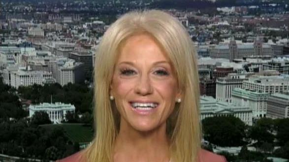 Kellyanne Conway on census question, border crisis