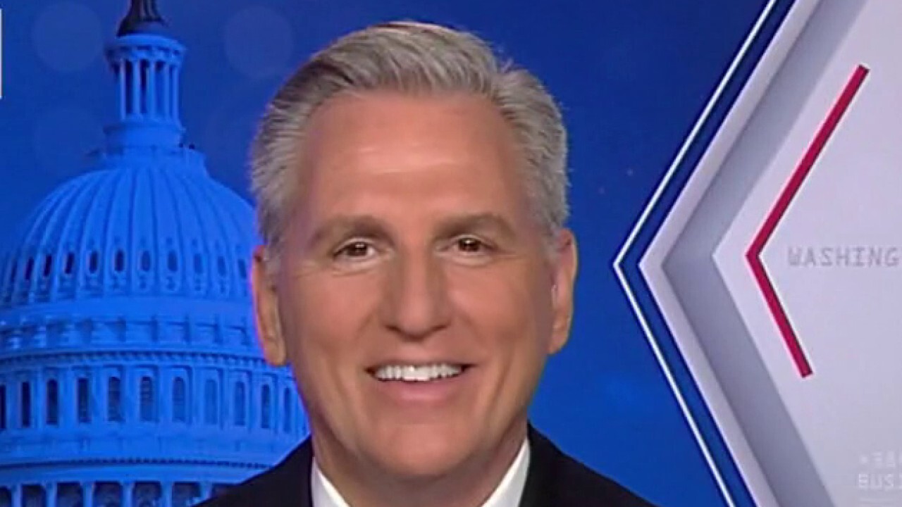 Kevin McCarthy: GOP needs to 'eliminate waste and wokeism' in US government