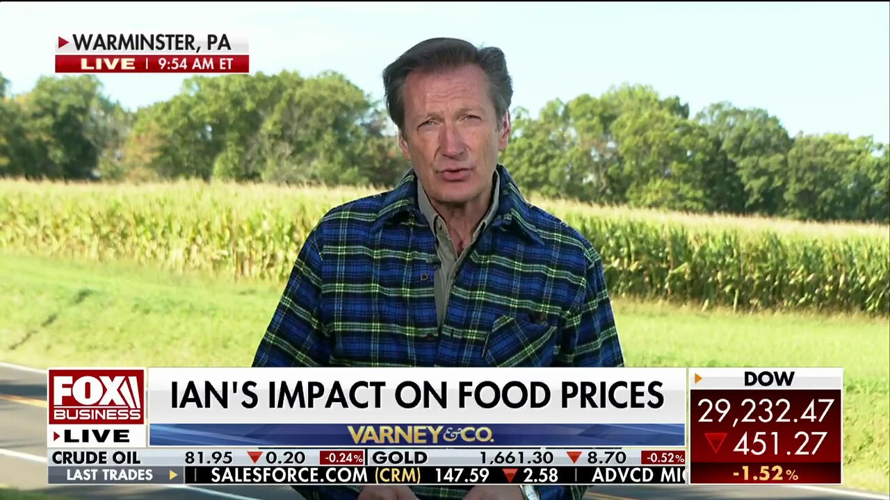 FOX Business' Jeff Flock speaks with Morning Consult Food & Beverage analyst Emily Moquin, who warns disruption in Florida fertilizer exports could impact crops nationwide.
