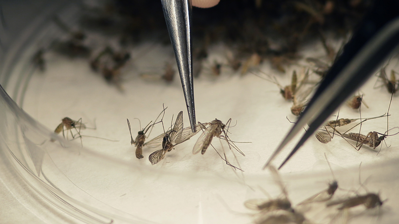 Zika funding battle heats up