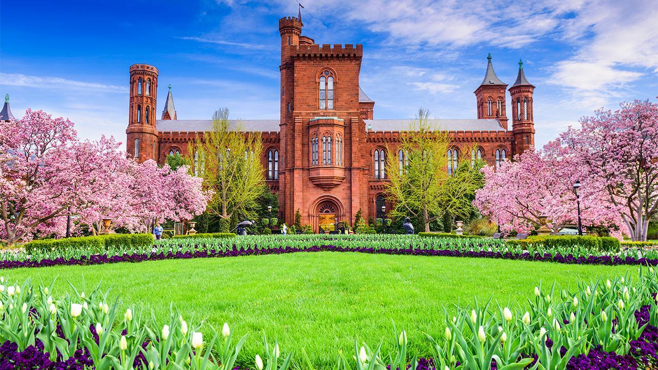 Smithsonian faces backlash after publishing aspects of ‘whiteness’ 