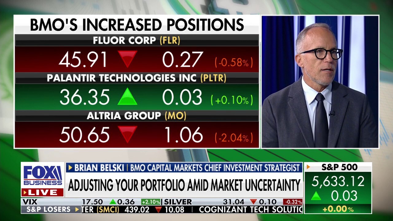 Market is heading into a 1995-96 stock environment: Brian Belski