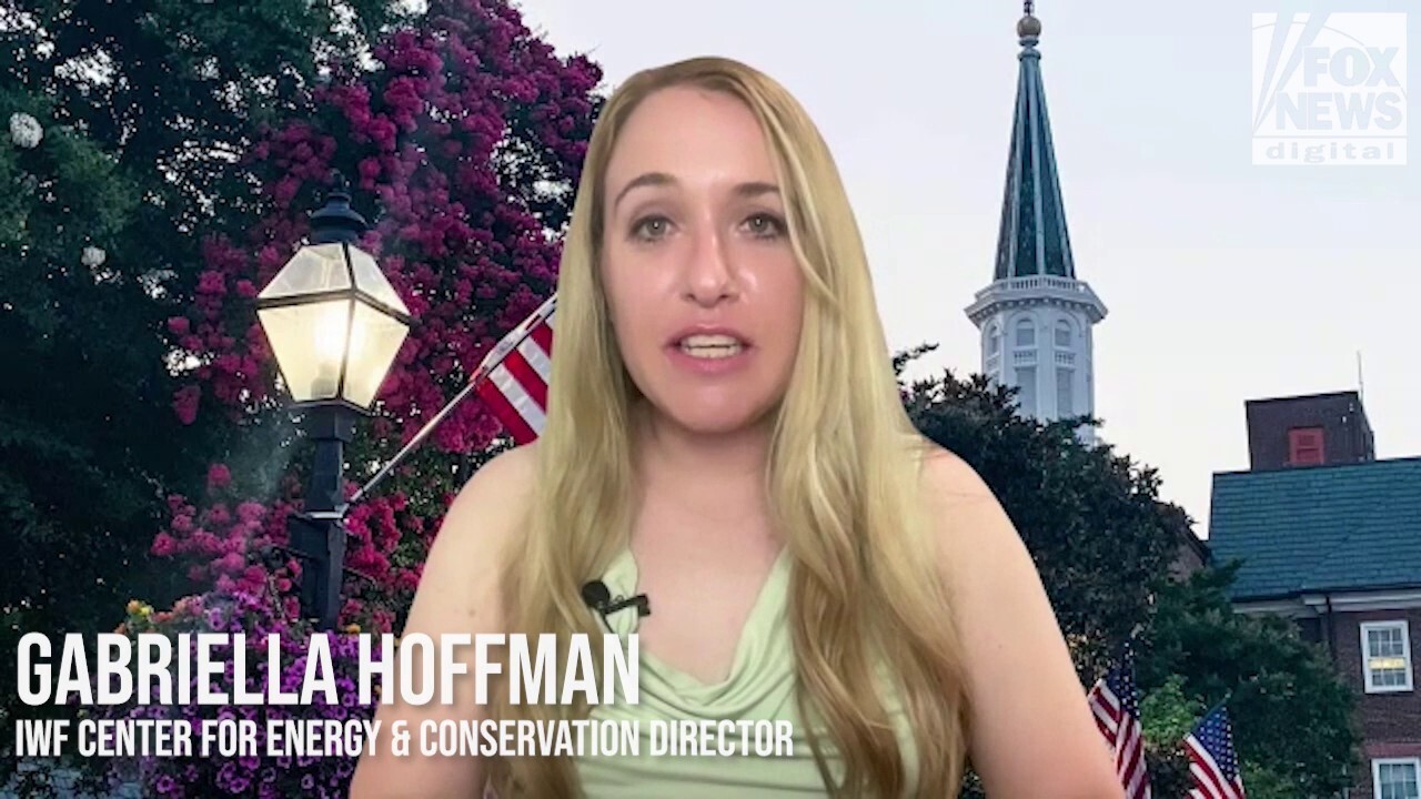 Independent Women's Forum Center for Energy and Conservation Director Gabriella Hoffman speaks with Fox News Digital about the taxpayer costs if lawmakers do not fully repeal IRA green tax credits during reconciliation.