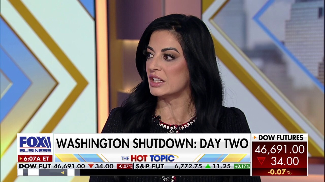 Mehek Cooke warns of Democrat Party fracture amid shutdown fight