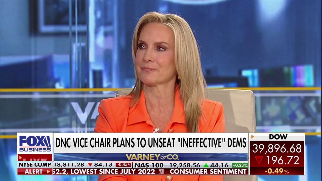 Dana Perino makes head-turning prediction David Hogg’s future at the DNC