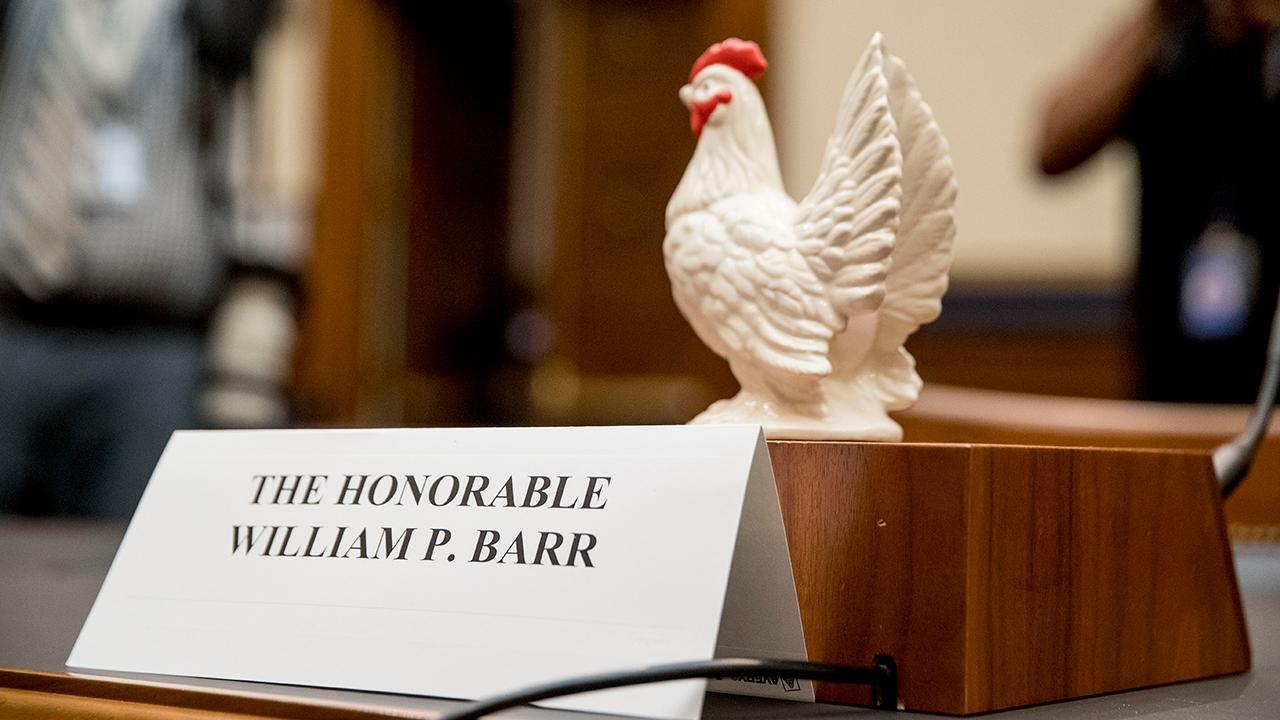 Trish Regan: Democrats’ chicken stunts are beneath dignity of Congress