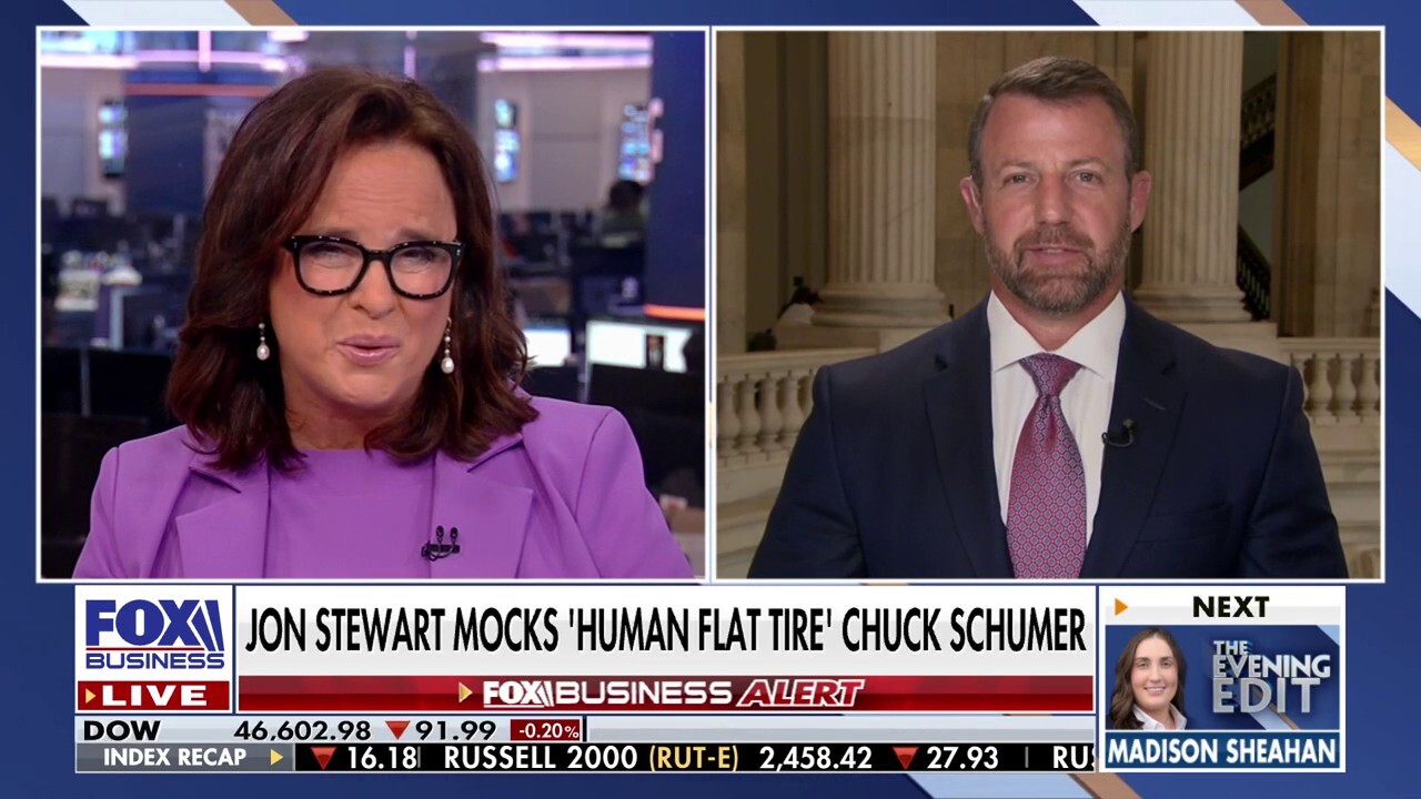 'SCHUMER SHUTDOWN': Democrats may be forced to own shutdown, critics argue