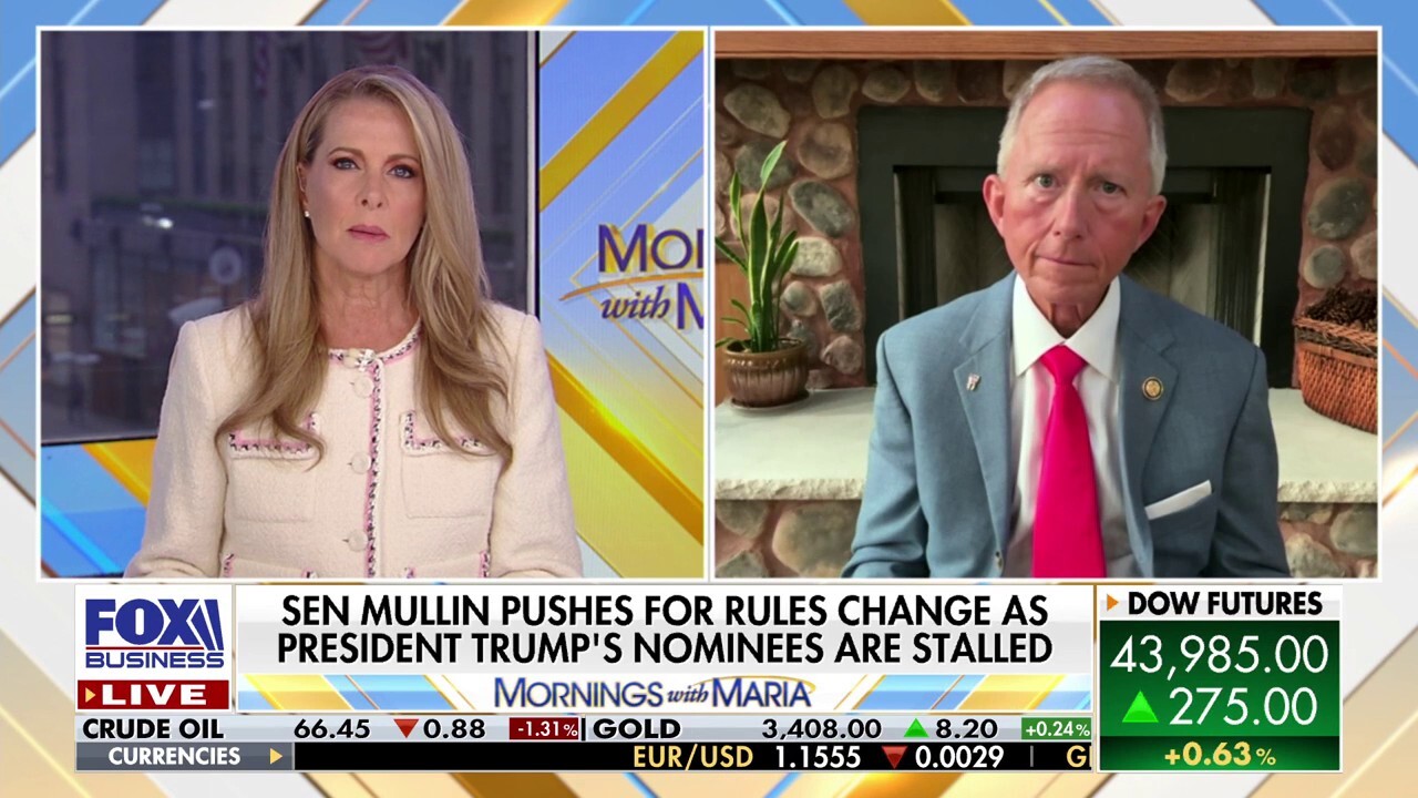 GOP rep says Schumer, Dems' tactics over Trump nominees are 'unseemly' and 'inappropriate'