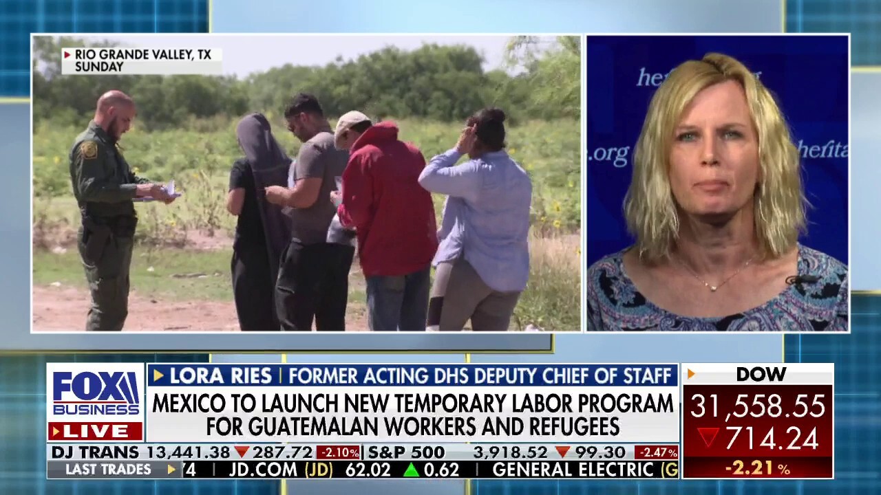 Until Biden stops illegal immigration, border crisis cycle ‘won’t end’:  Lora Ries