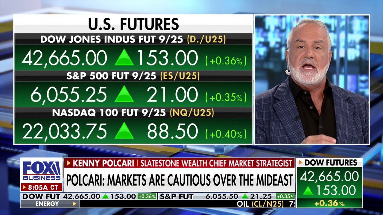 Investors need to expect 'ongoing volatility': Kenny Polcari