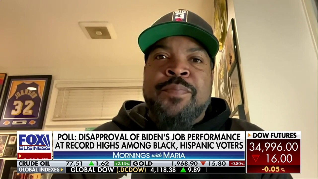 People 'want results' from politicians: Ice Cube