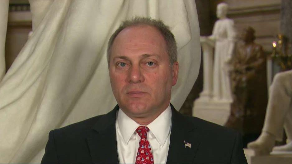 Rep. Scalise on immigration: Democrats don't want to solve the problem