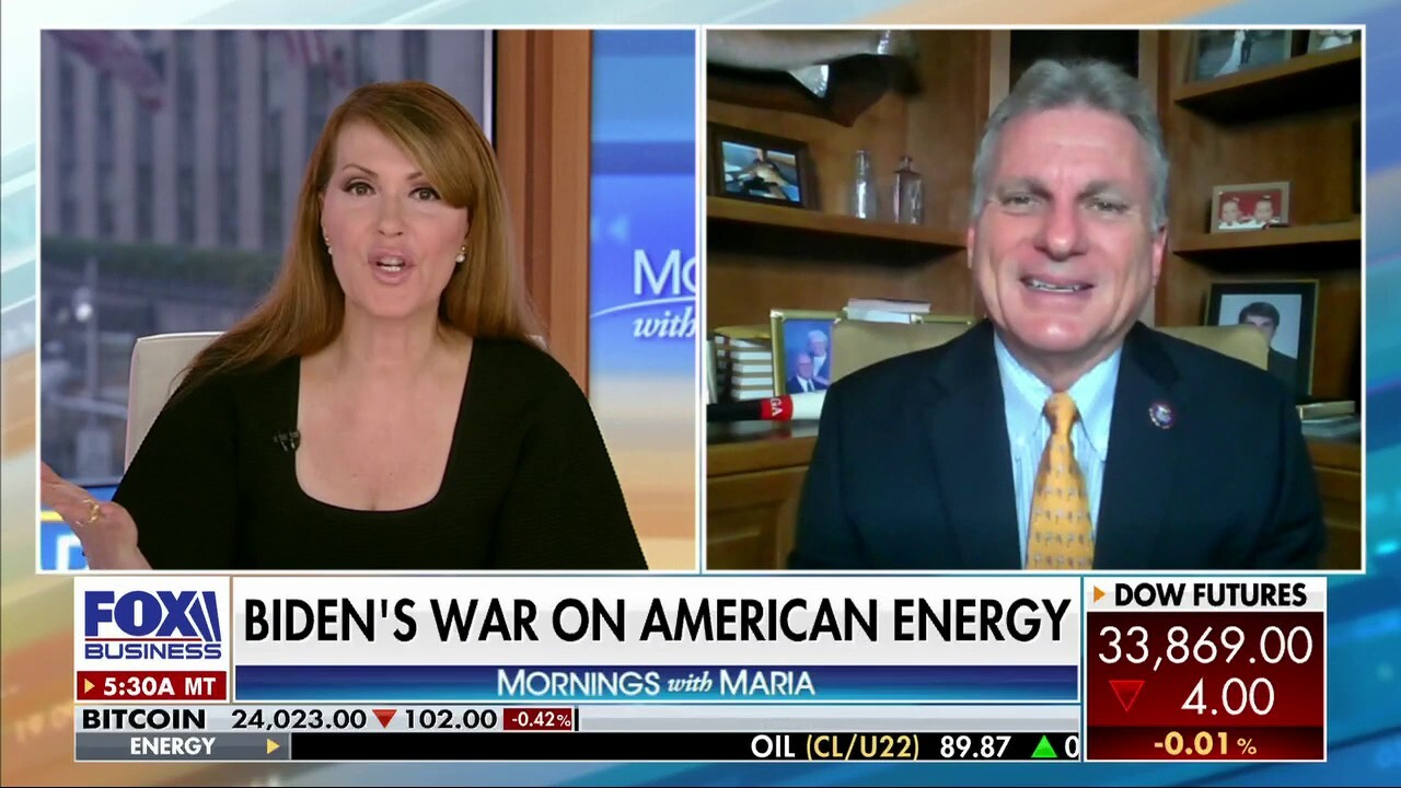 Rep. Buddy Carter, R-Ga., argues the U.S. 'has to be able to export natural gas' as the Biden administration caters to climate crowd demands.