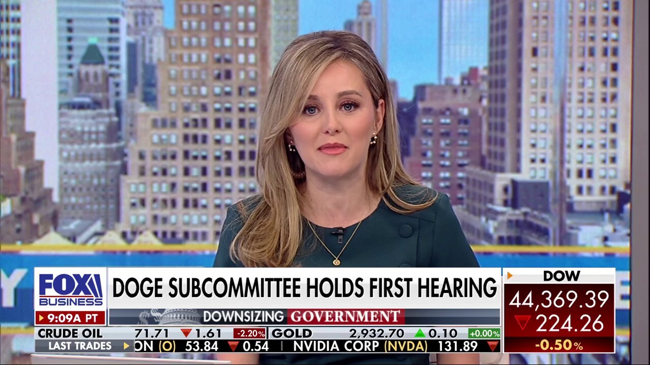 US voters wanting DOGE reforms are 'crystal clear,' Taylor Riggs says