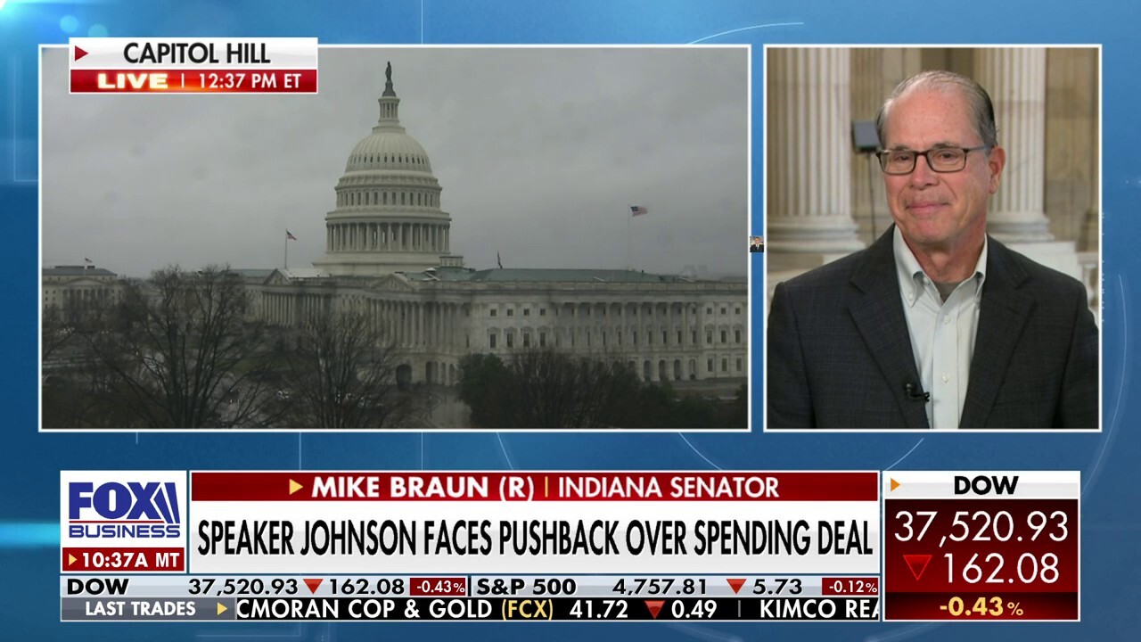 Government shutdown threat is a 'tool' to back those who want reform in a corner: Sen. Mike Braun