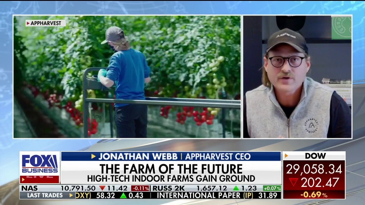 AppHarvest CEO Jonathan Webb explains how he uses technology to combat the strained food supply chain and grow food year-round on 'The Claman Countdown.'