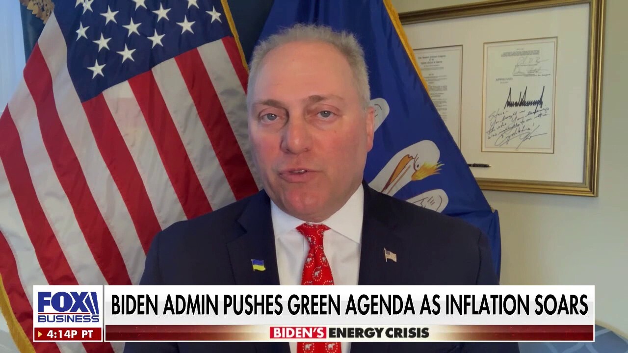 Rep. Steve Scalise discusses how the Biden administration plans to release 1 million barrels of oil from U.S. reserves every day for six months on ‘Wall Street.’
