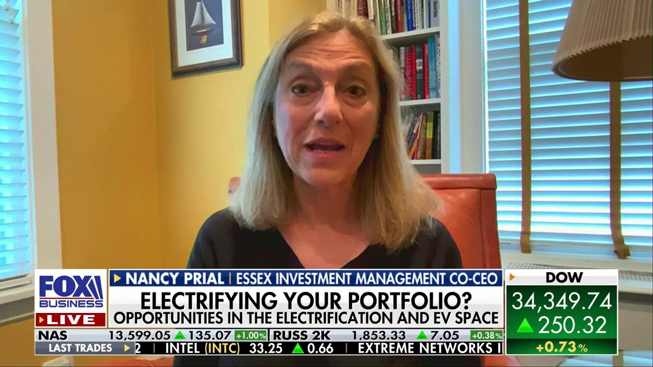 Electric manufacturing has 'two tailwinds behind' it: Nancy Prial